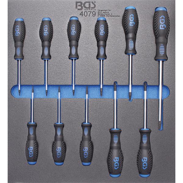 BGS 4079 Tool Tray 2/3: Screwdriver Set, T-Star (f or Torx) T6 - T40, 11 pcs.