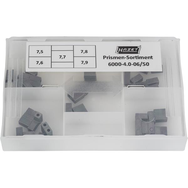 Hazet 6000-4.0-06/50 Prismen-Sortiment 