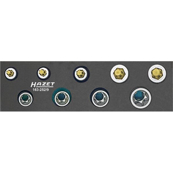 Hazet 163-252/9 TX-Werkzeugsatz 3/8" 