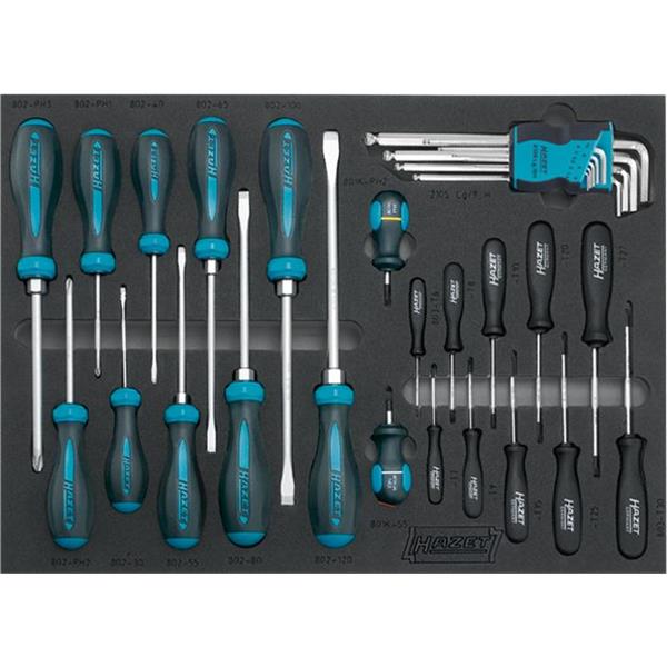 Hazet 163-107/31-BMW Werkzeug-Sortiment 