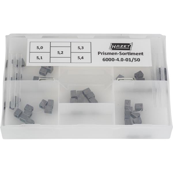Hazet 6000-4.0-01/50 Prismen-Sortiment 