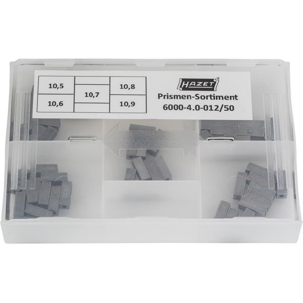 Hazet 6000-4.0-012/50 Prismen-Sortiment 