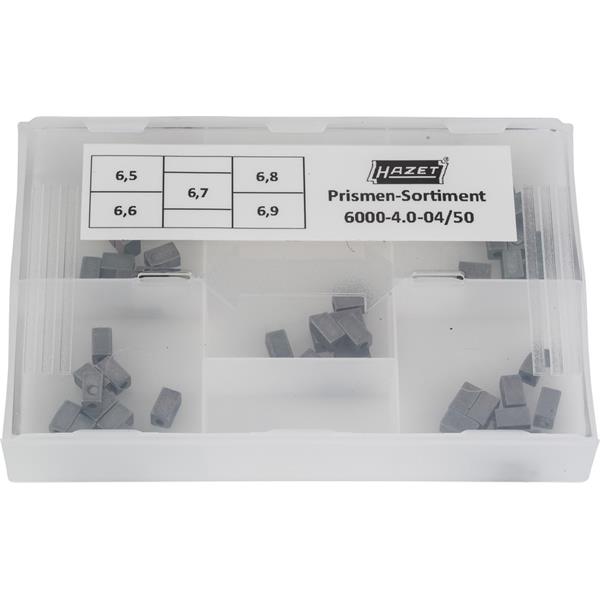 Hazet 6000-4.0-04/50 Prismen-Sortiment 