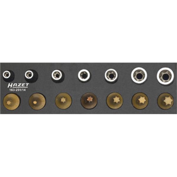 Hazet 163-251/14 TX-Werkzeugsatz 1/4" 