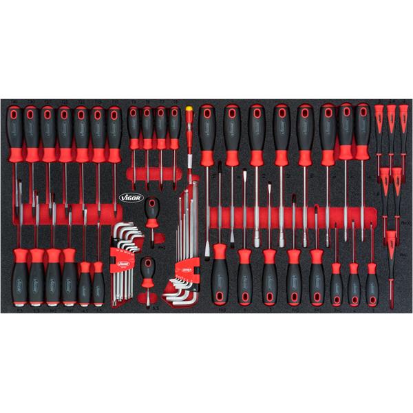 Vigor V5170 V4518 neu