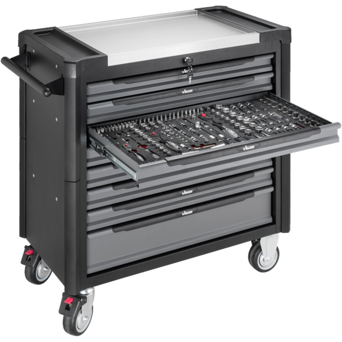 Vigor-v4481-x-2QleOY5eaL2peh