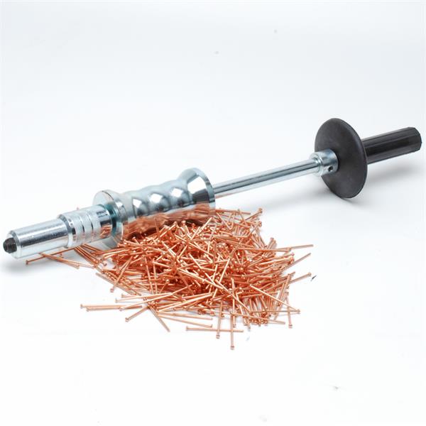 Beulenziehhammer-Set mit Hammer und Nägeln500 Nägeln
